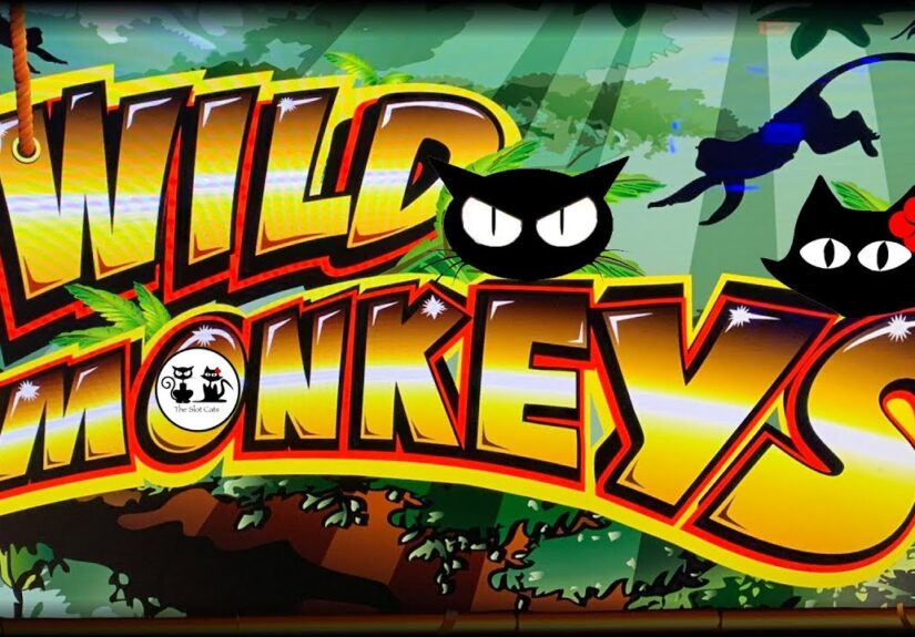 Wild Monkeys SlotsWild Monkeys Slots